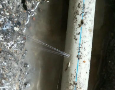 荷塘测漏水哪家好