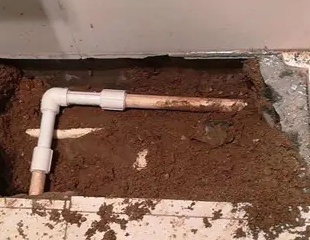 荷塘测漏水哪家好