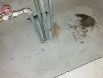 荷塘卫生间测漏水价格明细