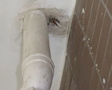 荷塘漏水检测哪家好